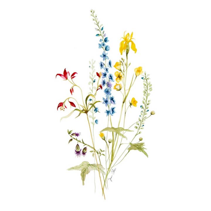 Melissa Bukett LUX vykort + Print för wholesale av Jane W. Choi Designs