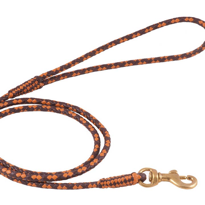 Alvalley - Wholesale Pet Leash - Dog - Braided Leather Snap Leads93