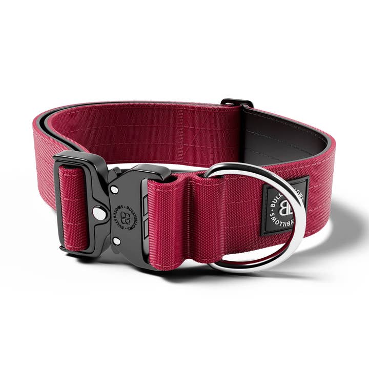 Collier de Combat® 5cm | Clip Évalué - SANS POIGNÉE - Bourgogne v2.0 pour la vente par BullyBillows Ltd