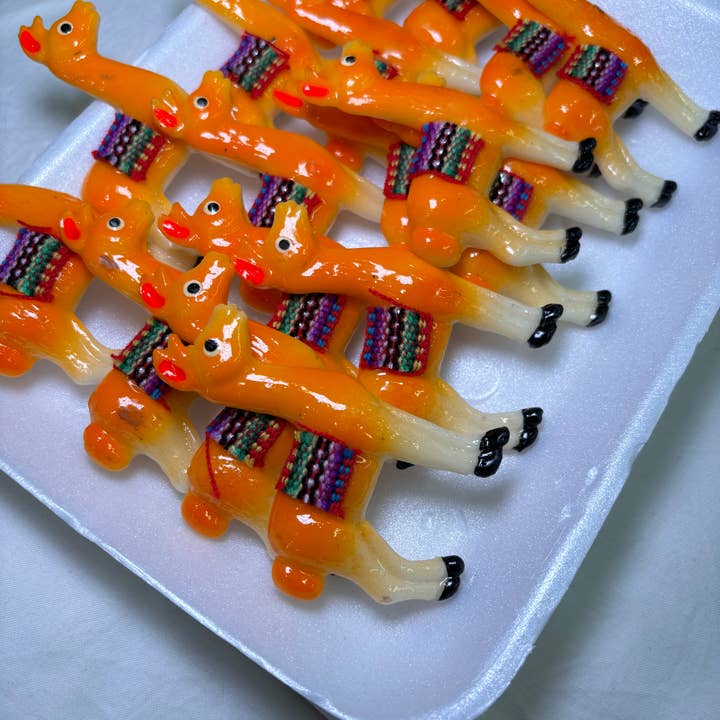 Llama Kitchen Magnet for wholesale by Magnets Market