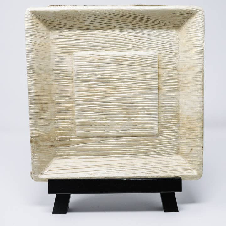 10" Palm Leaf Plates for wholesale by The Reeden Company