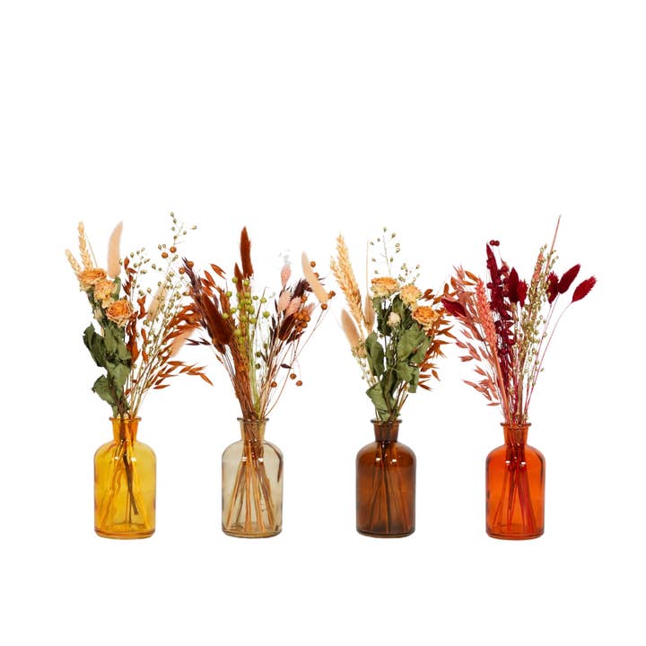 Terra Fleurs séchées - Floral Tea Party - Terra en vente sur Faire3