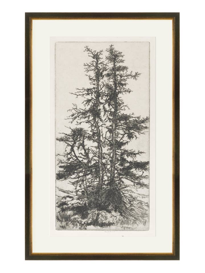 Bäume Radierung 3 für den Großhandel von Splendus