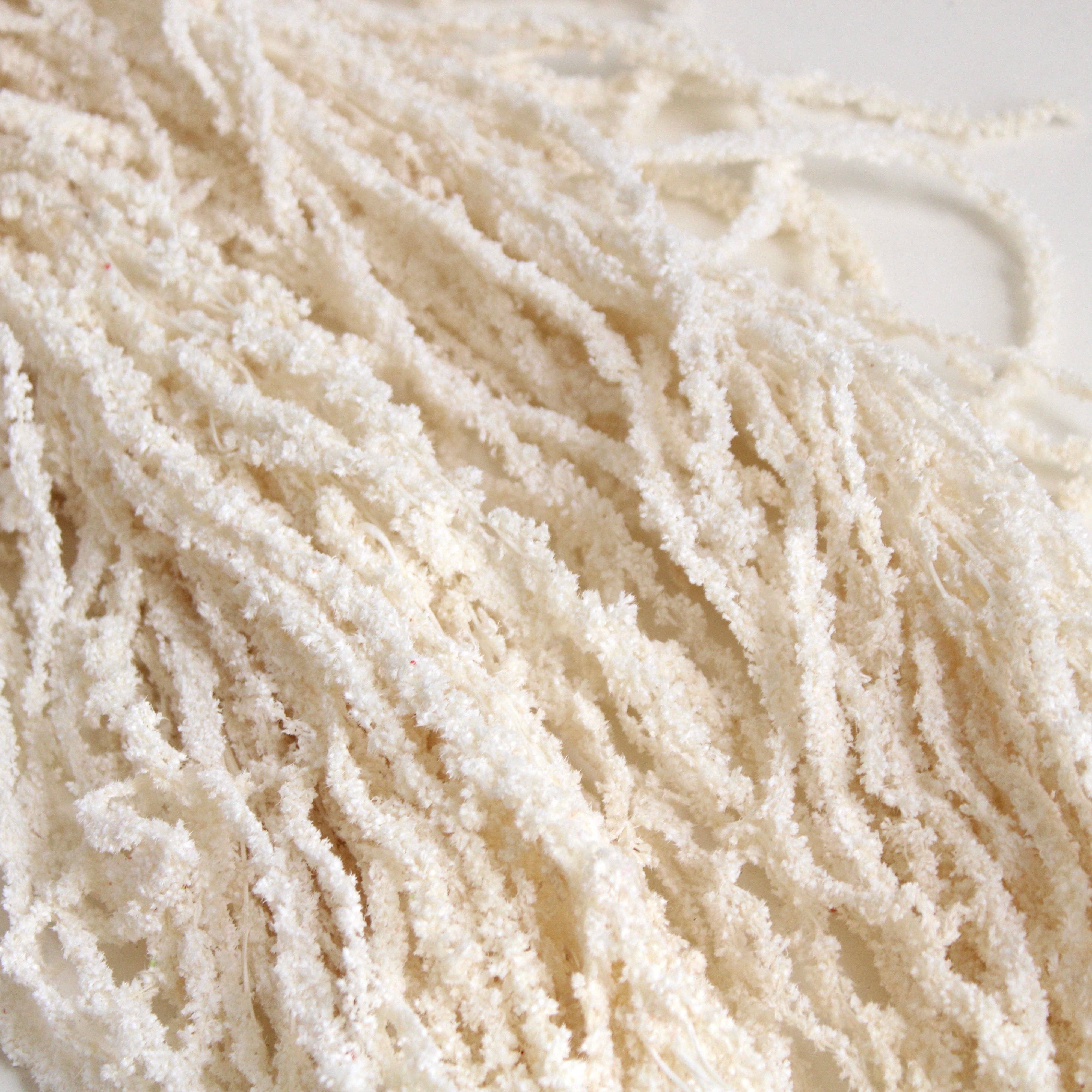 Roxanne's Dried Flowers - Wholesale Dried/Pressed Flowers - Amaranthus (Hanging) - Preserved0