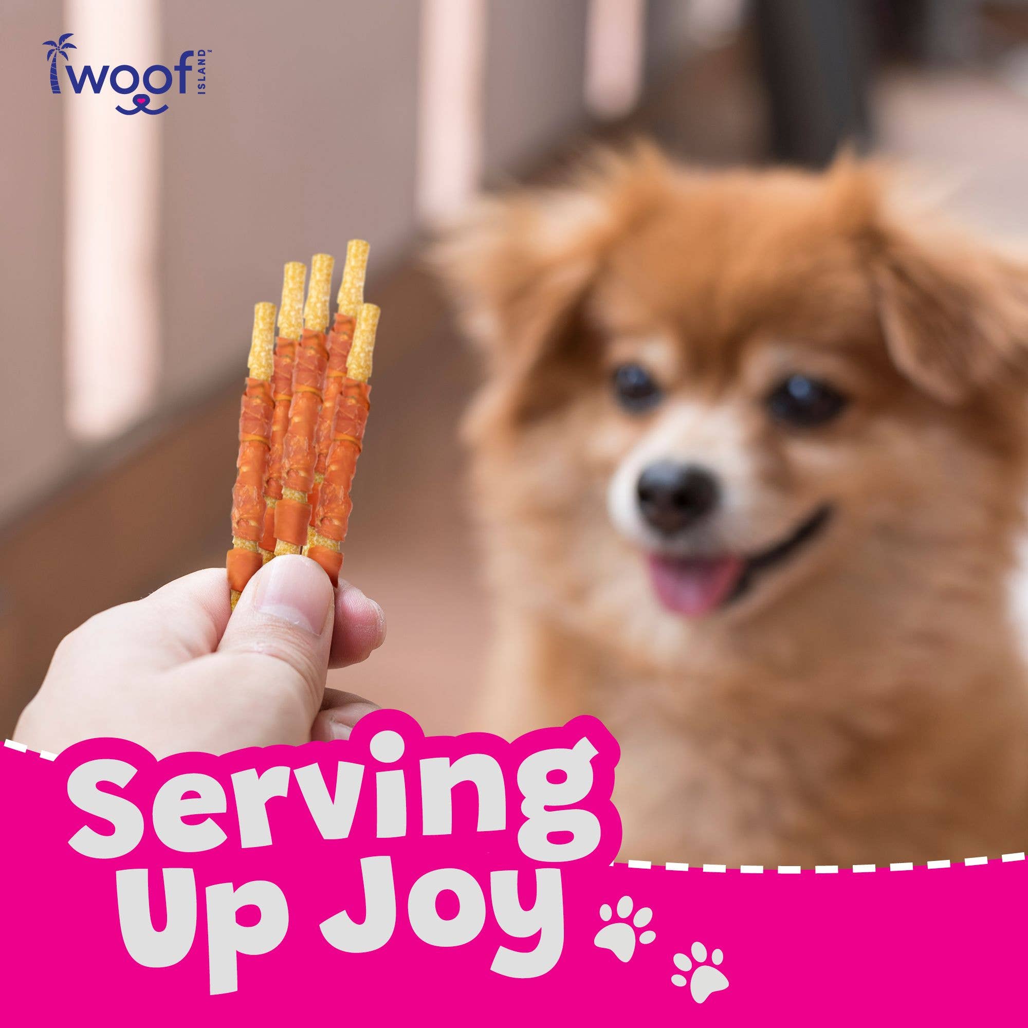 Woof Island - Wholesale Pet Treats - Dog - Coconut Dog Twist Treats (With Chicken) 12 Count5