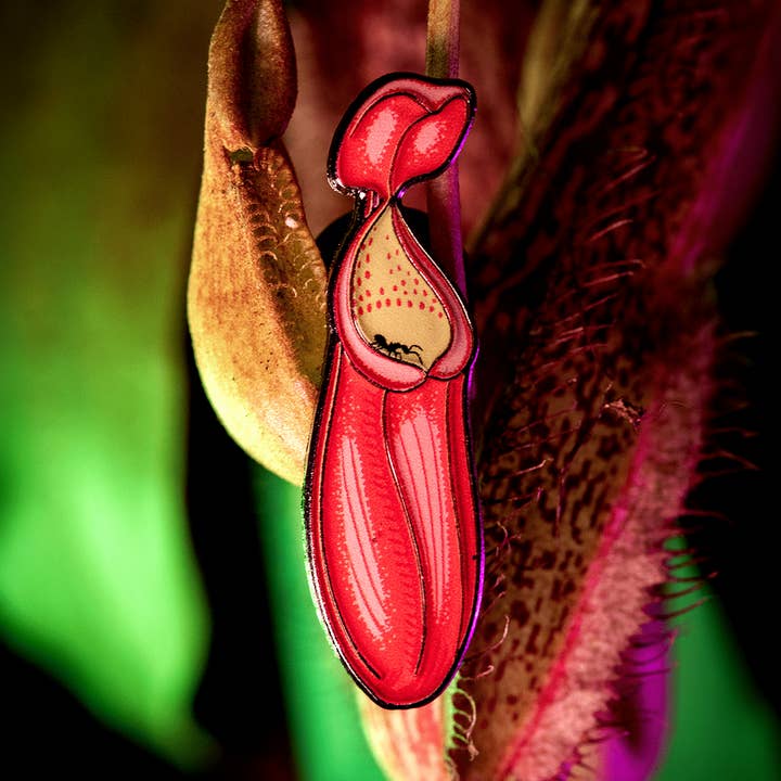 Nepenthes Sanguinea Pitcher Plant Enamel Pin for wholesale by The Roving House