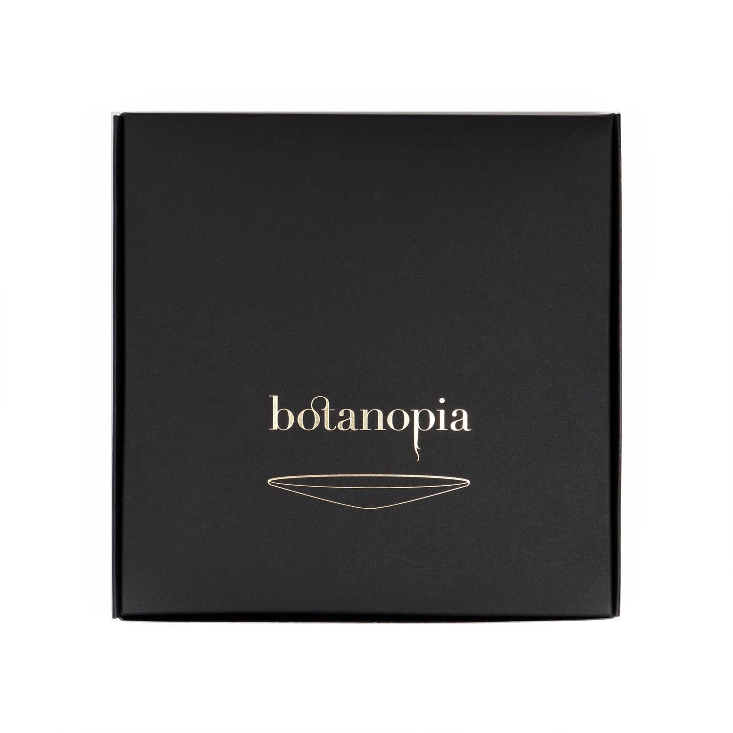 Botanopia - gifts , decor and cards for plant lovers - Wholesale Zaadjes voor platten - Deluxe Cadeauset – Kiemen en Kweken op water16