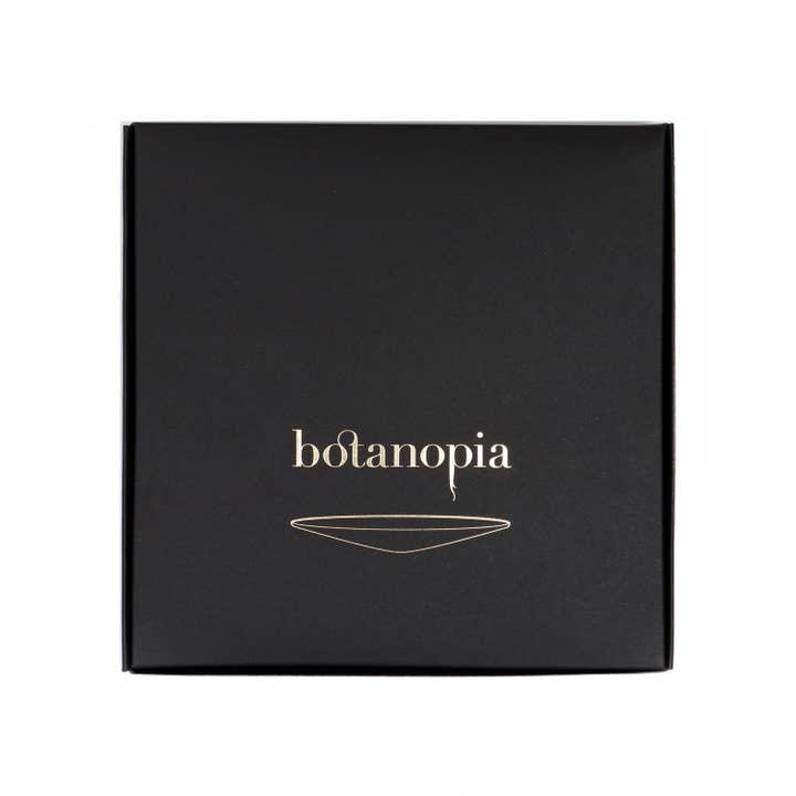 Botanopia - gifts , decor and cards for plant lovers - Wholesale Plant Seeds - Deluxe Gift Box – Germination & Propagation in water16