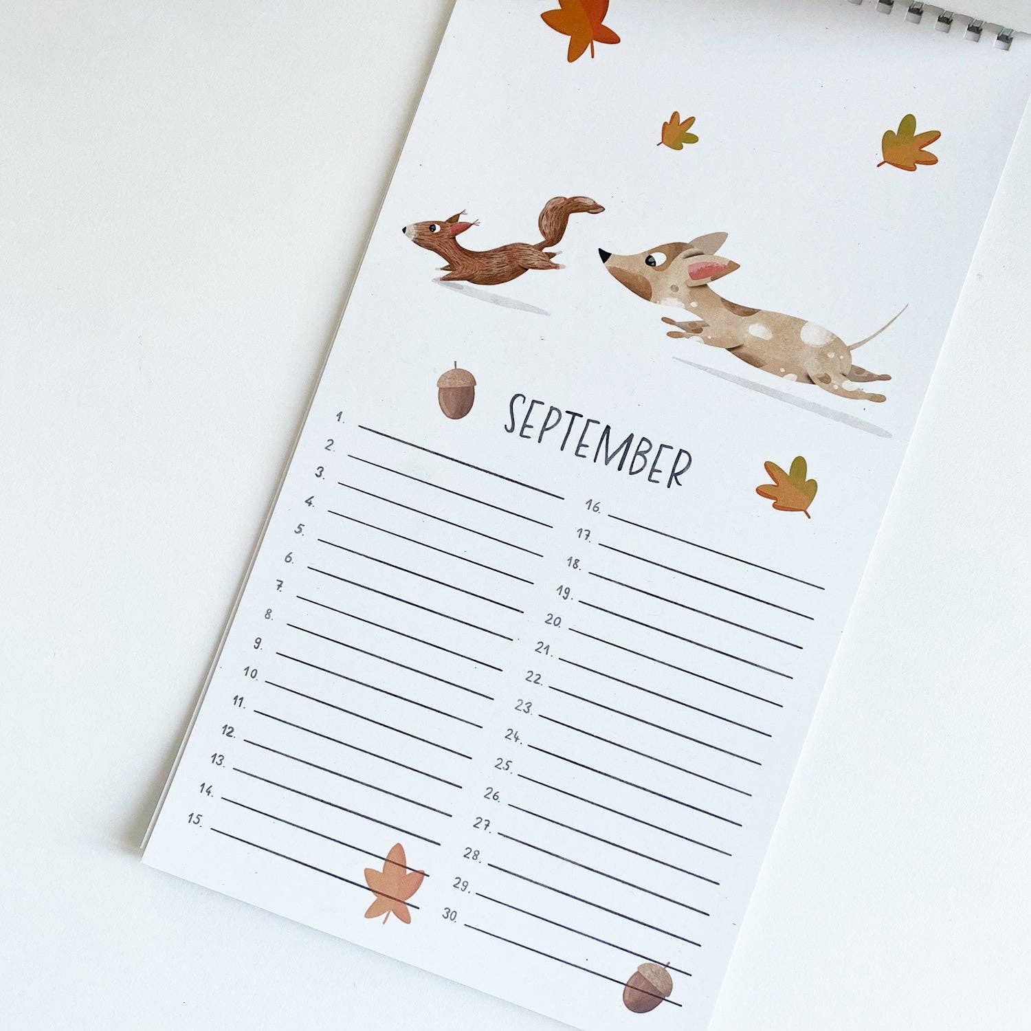 Meet Wilma - Wholesale Calendar - Timeless Dog Dachshund Birthday Calendar3