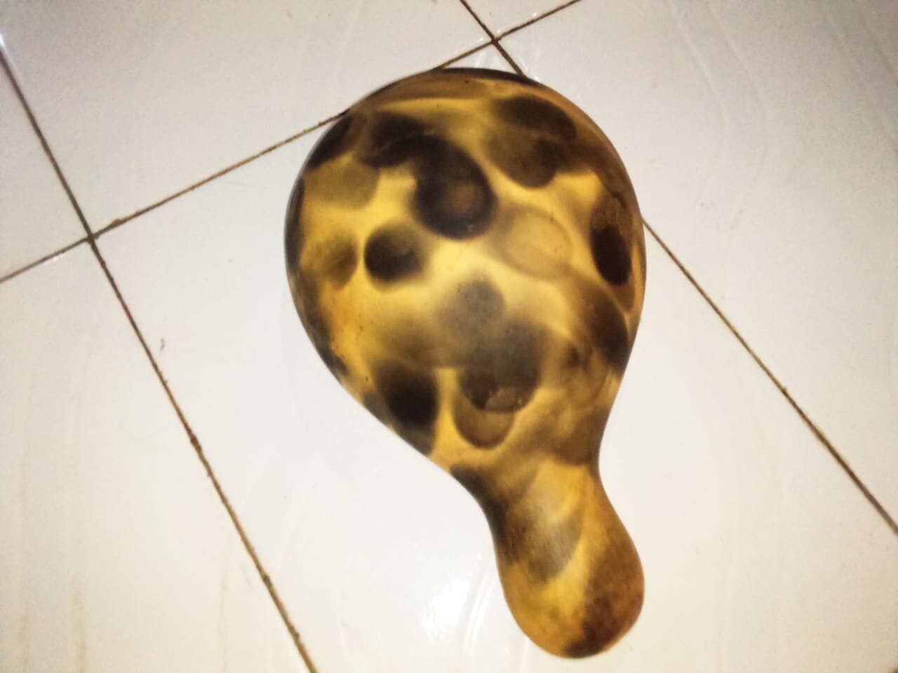 Delight merchants - Wholesale Decorative Tabletop Object - naturally grown Spotted african  calabash 0