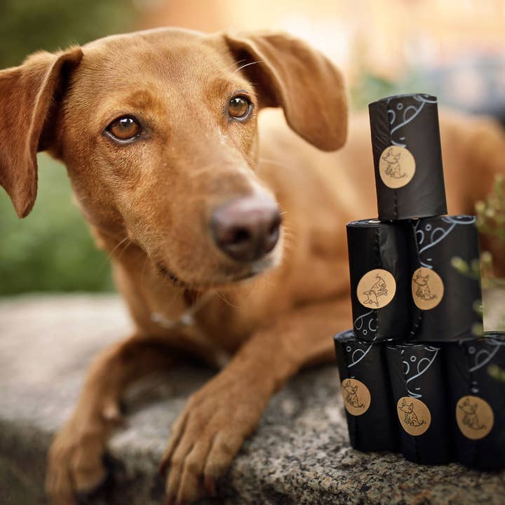 The Sustainable People - Wholesale Pet Poop Bag - Biodegradable Dog Poop Bags (200 loose rolls)
