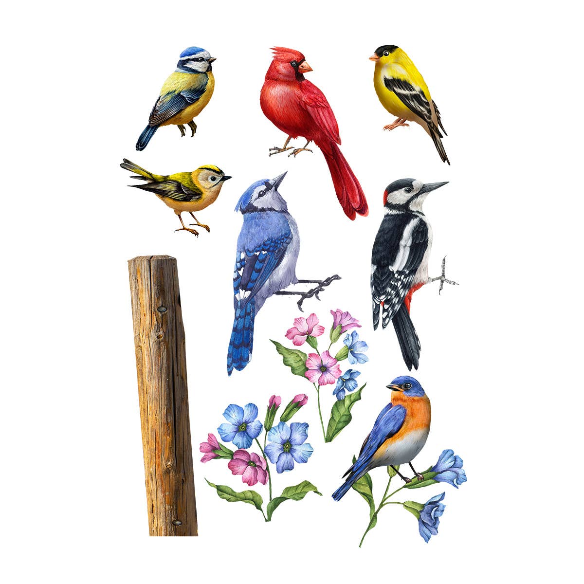Briarwood Lane - Wholesale Wall Decal/Stickers - Country Birds Window Clings1