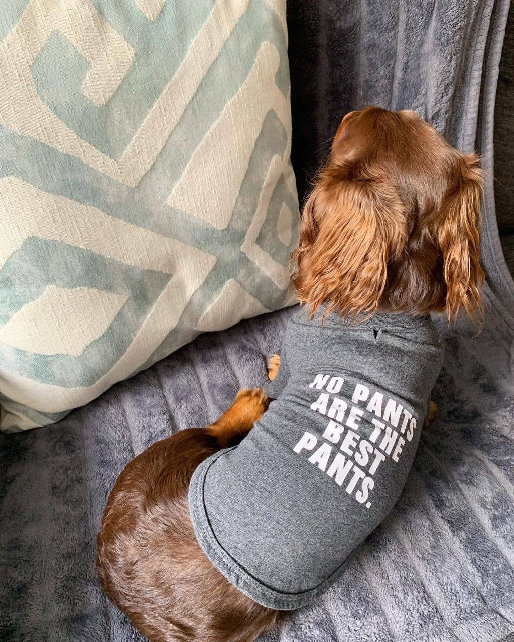 Cooles Grau „No Pants Are The Best Pants“ Baumwoll-Hundeshirt Haustierkleidung für den Großhandel auf Faire1