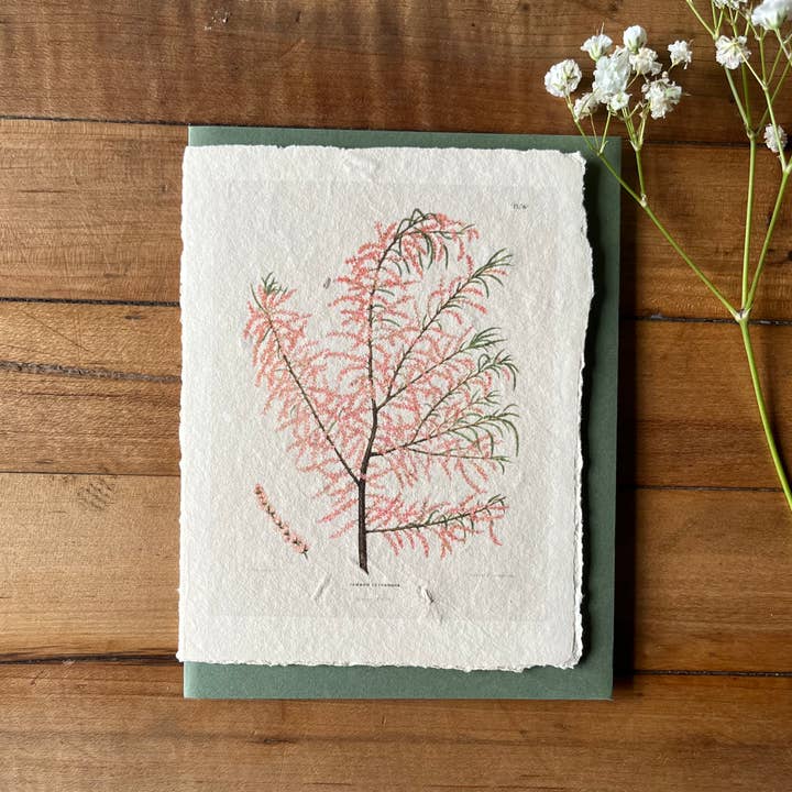 Salt Cedar handmade card for wholesale by Bat Flower Press