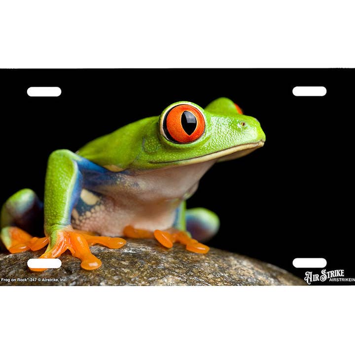 Airstrike - Wholesale Sign - "Red Eye Tree Frog on Rock" - Decorative License Plate