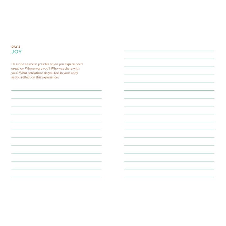 Chronicle Books - Wholesale Journal/Diary - Abundance7