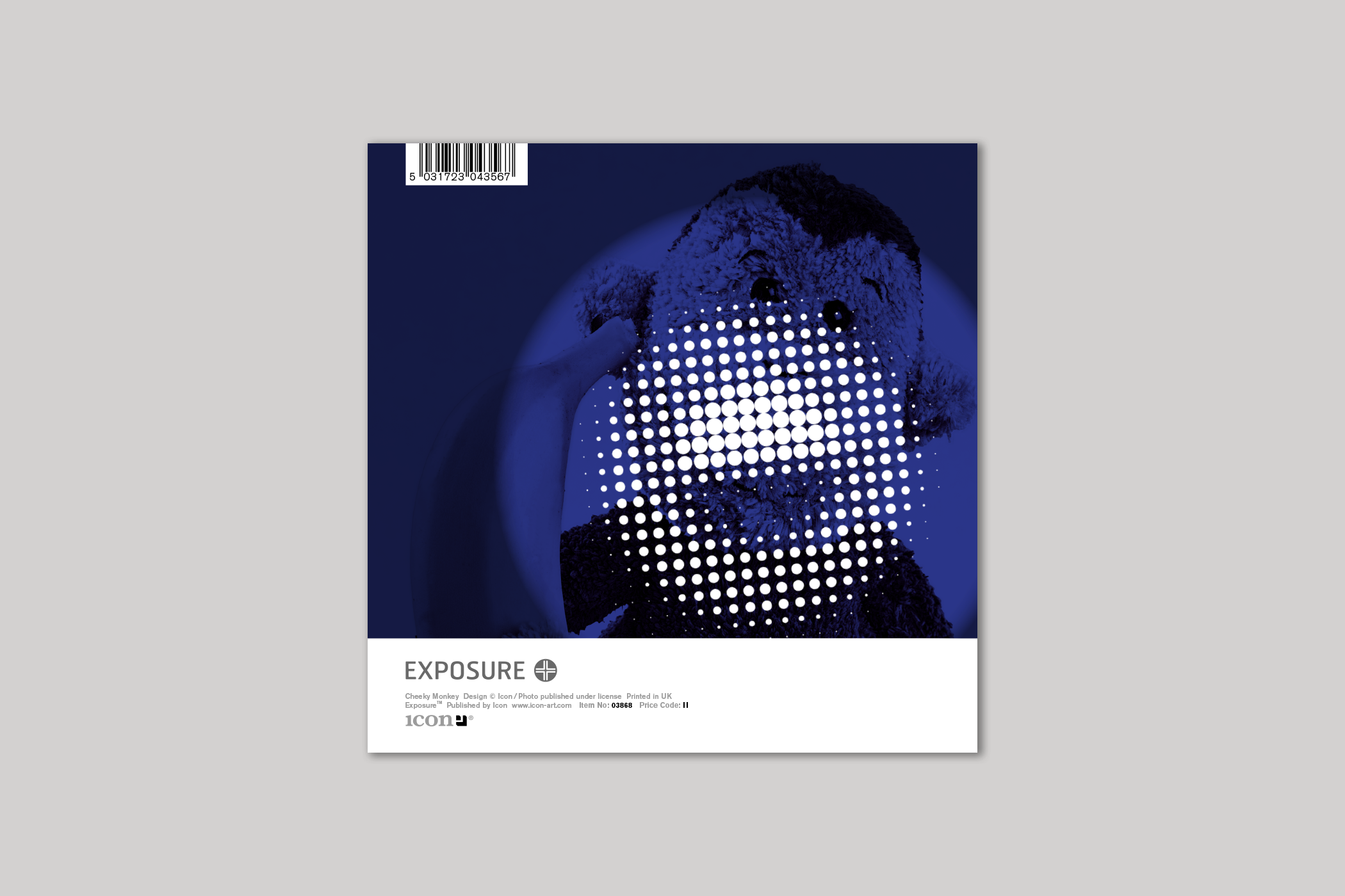 Icon – Cartão de saudação diária por atacado – Cartão Cheeky Monkey2