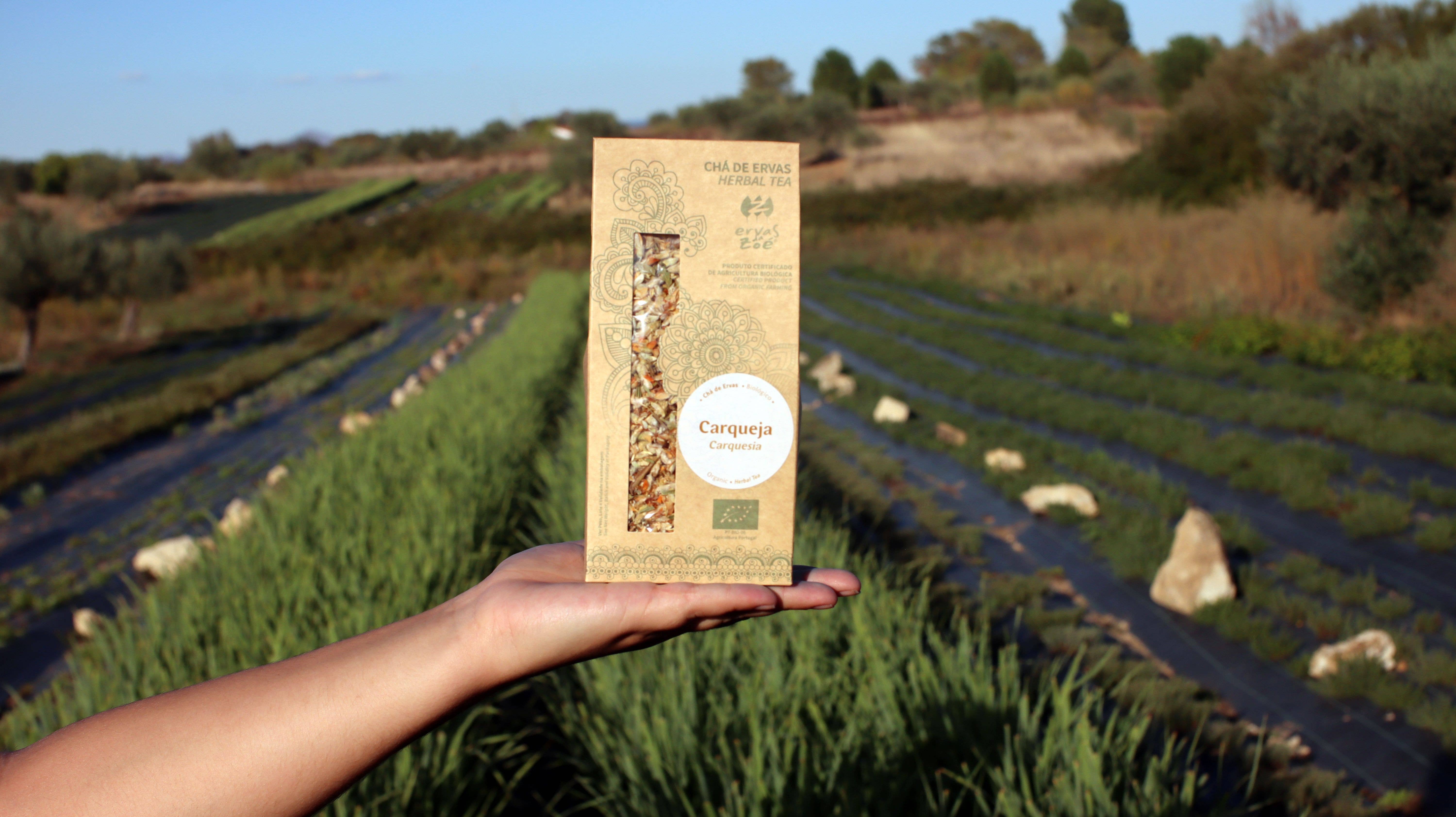 Ervas da Zoé - Vendita all'ingrosso Tisane salutari e depurative - 20. Tisana «Fiore di Carqueja» Bio 40g