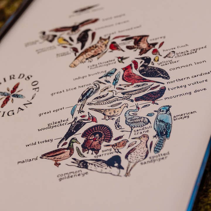 Home Squirrel - Wholesale Art Print - Birds of Michigan Watercolor Art Print2