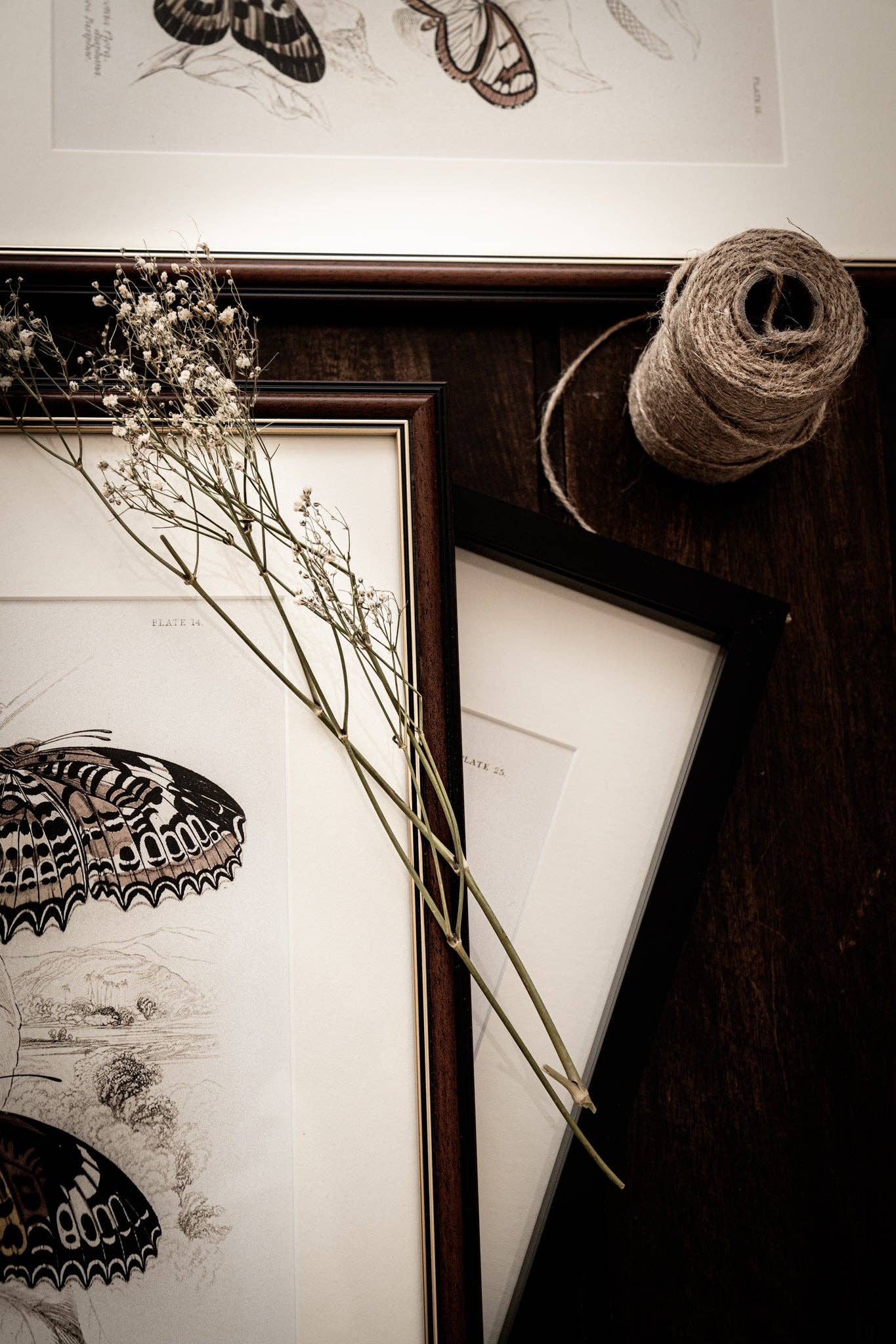 Coultura - Wholesale Gallery Wall Set - Framed Set of Six Vintage Butterfly Art Prints (Classic Teak Frame Collection)11