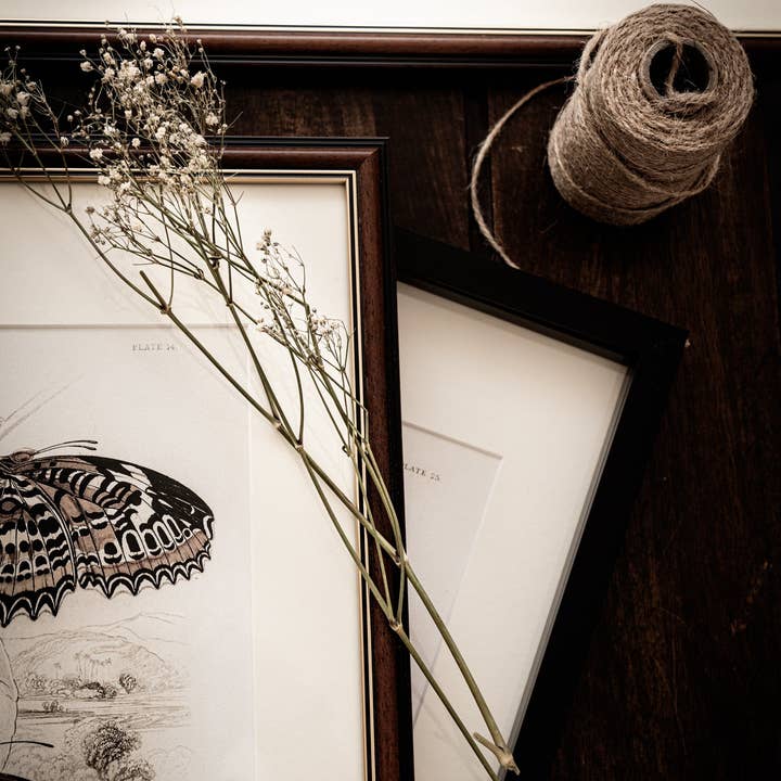 Coultura - Wholesale Gallery Wall Set - Framed Set of Six Vintage Butterfly Art Prints (Classic Teak Frame Collection)11