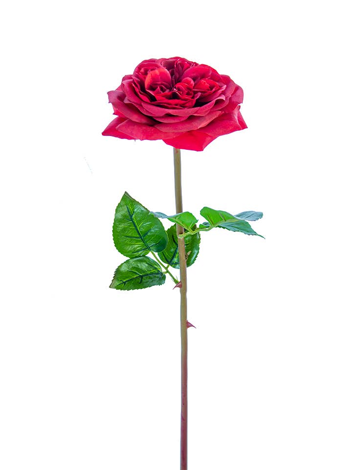 American Best - Wholesale Artificial Flowers - 24" REAL TOUCH GARDEN ROSE STEM5