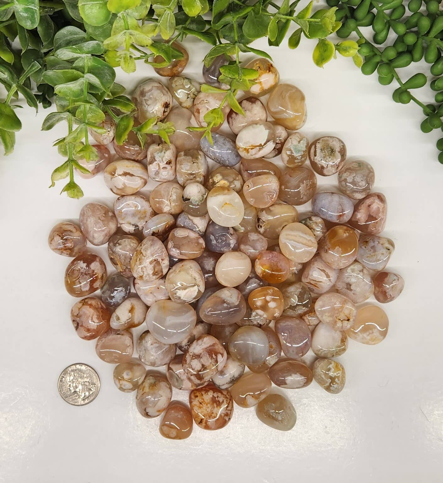 Meraki Gemstones – Engroshandel Spirituelle sten og krystaller – Flower Agate polerede sten ca. 20-25 mm (1 kg/2,2 lbs.)3