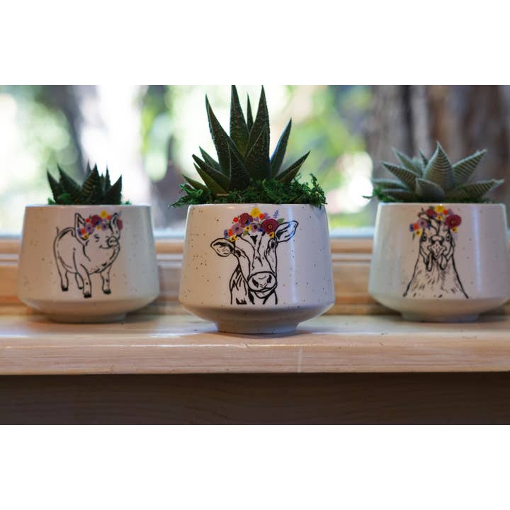 Artsy Em - Wholesale Plant Pot - Chicken Crown Delight Cup