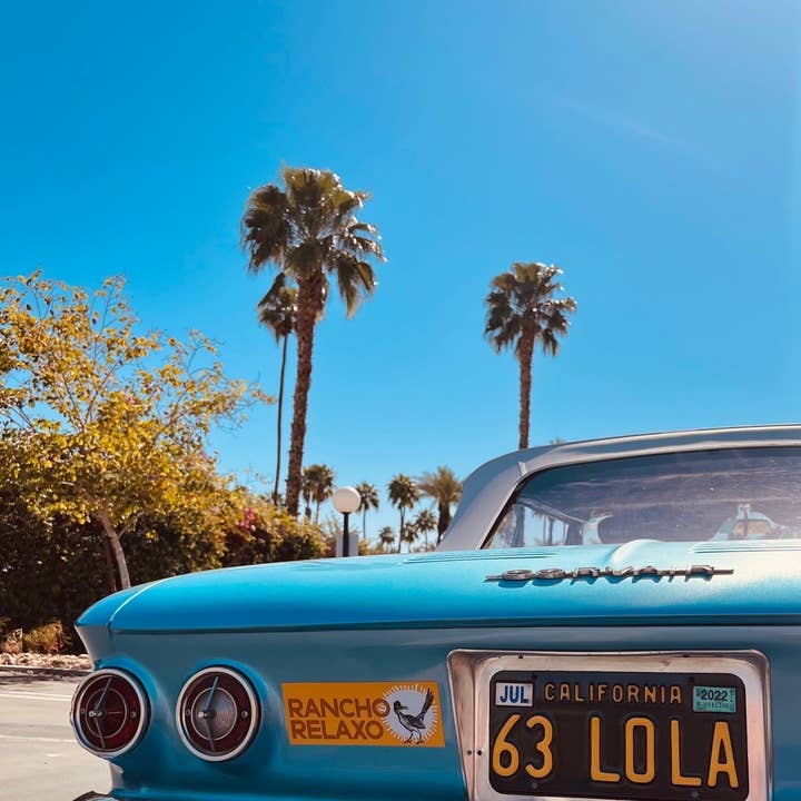 Magnete adesivo per paraurti per la vendita all'ingrosso da parte di Rancho Relaxo