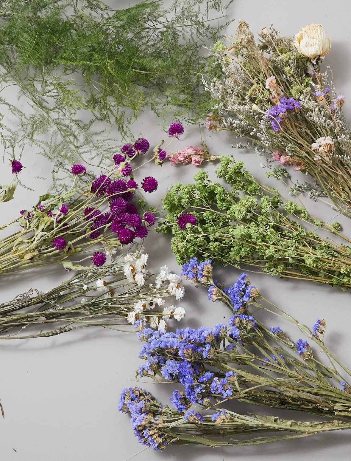 Right Side Hand – wholesale Dried/pressed flowers – Bunch of Dried Plumosa Fern2