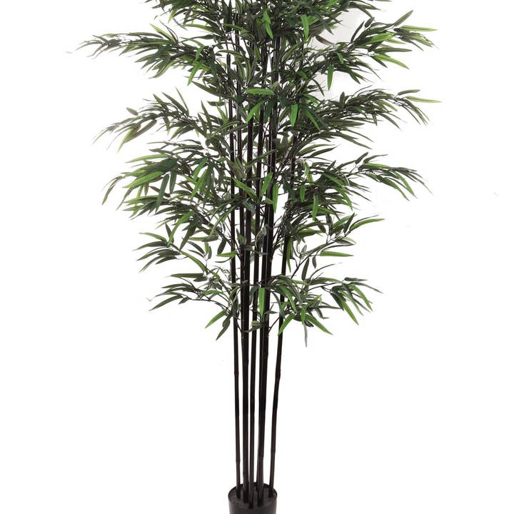 Larksilk - Venta al por mayor Plantas artificiales - Árbol de bambú negro artificial de 1,8 m en maceta negra para decoración interior