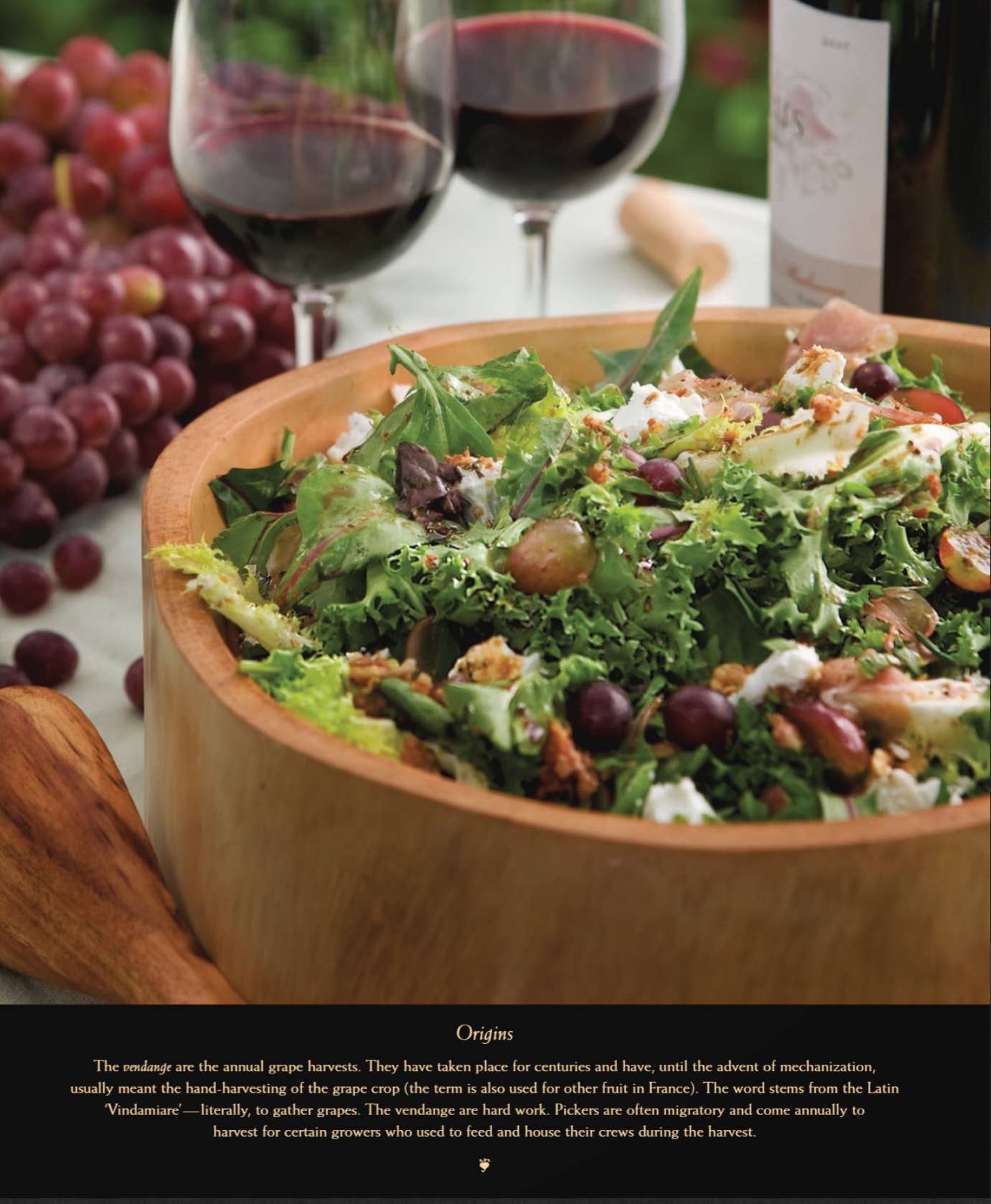 Pascale's Kitchen – Engroshandel Kogebøger og mad – En menu til alle årstider—Efterår4