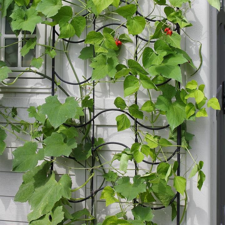 Extension de treillis Waves pour la vente par ACHLA Designs