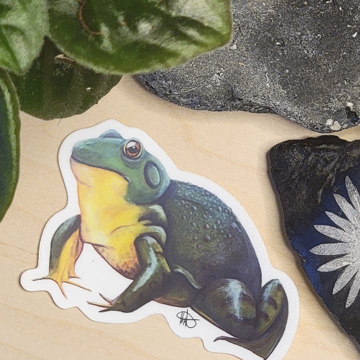 North American Bullfrog Sticker for wholesale by Krisanthemum