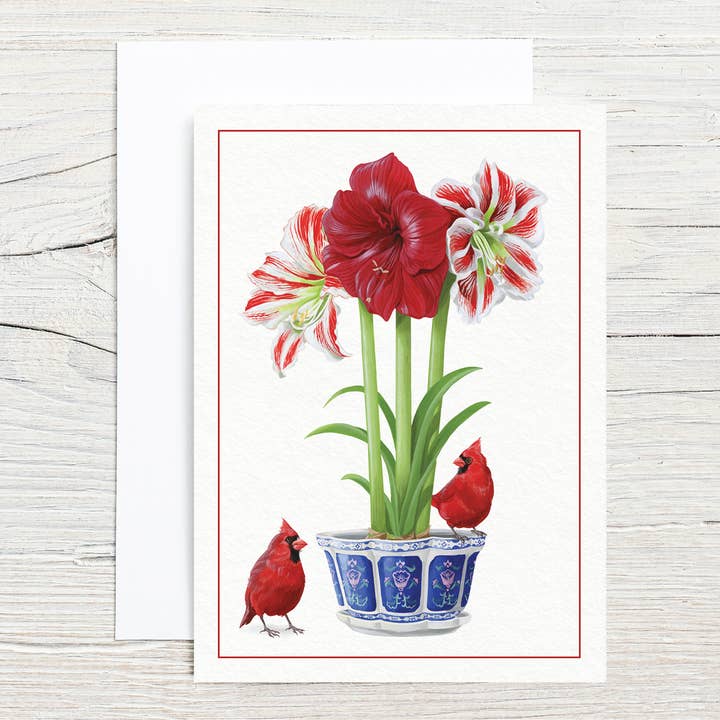 Conjunto de Cartão Amaryllis 5x7 por atacado de Brook Isle