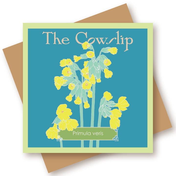Tarjeta de notas de prímula silvestre para venta al por mayor de Umbellifer
