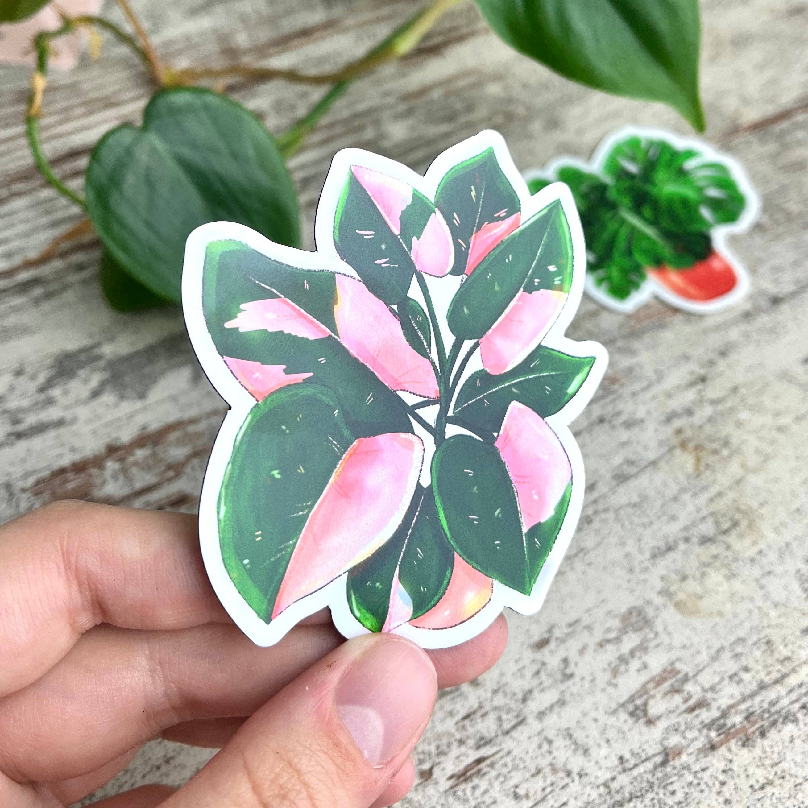 plantyintroverts - Wholesale Magnet - Magnet - Philodendron Pink Princess pot6