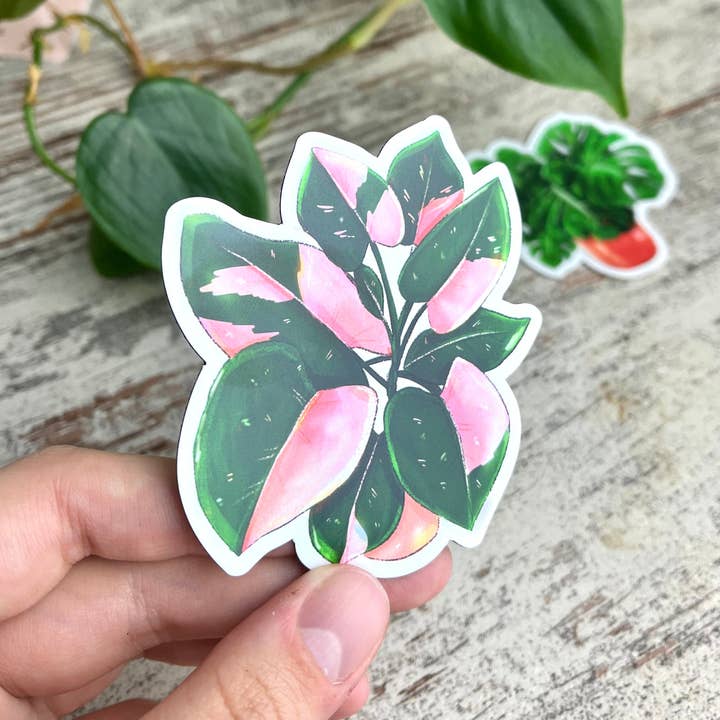plantyintroverts - Wholesale Magnet - Magnet - Philodendron Pink Princess pot6