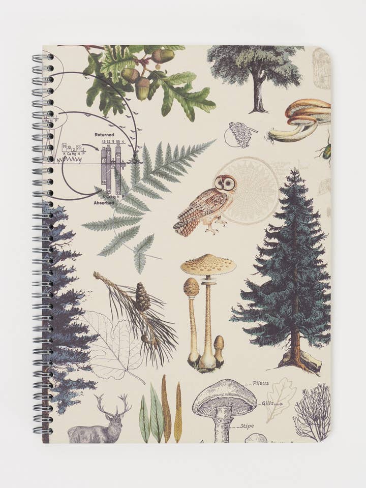 Into the Forest Spiral Notebook (Case of 6) for wholesale by Cognitive Surplus