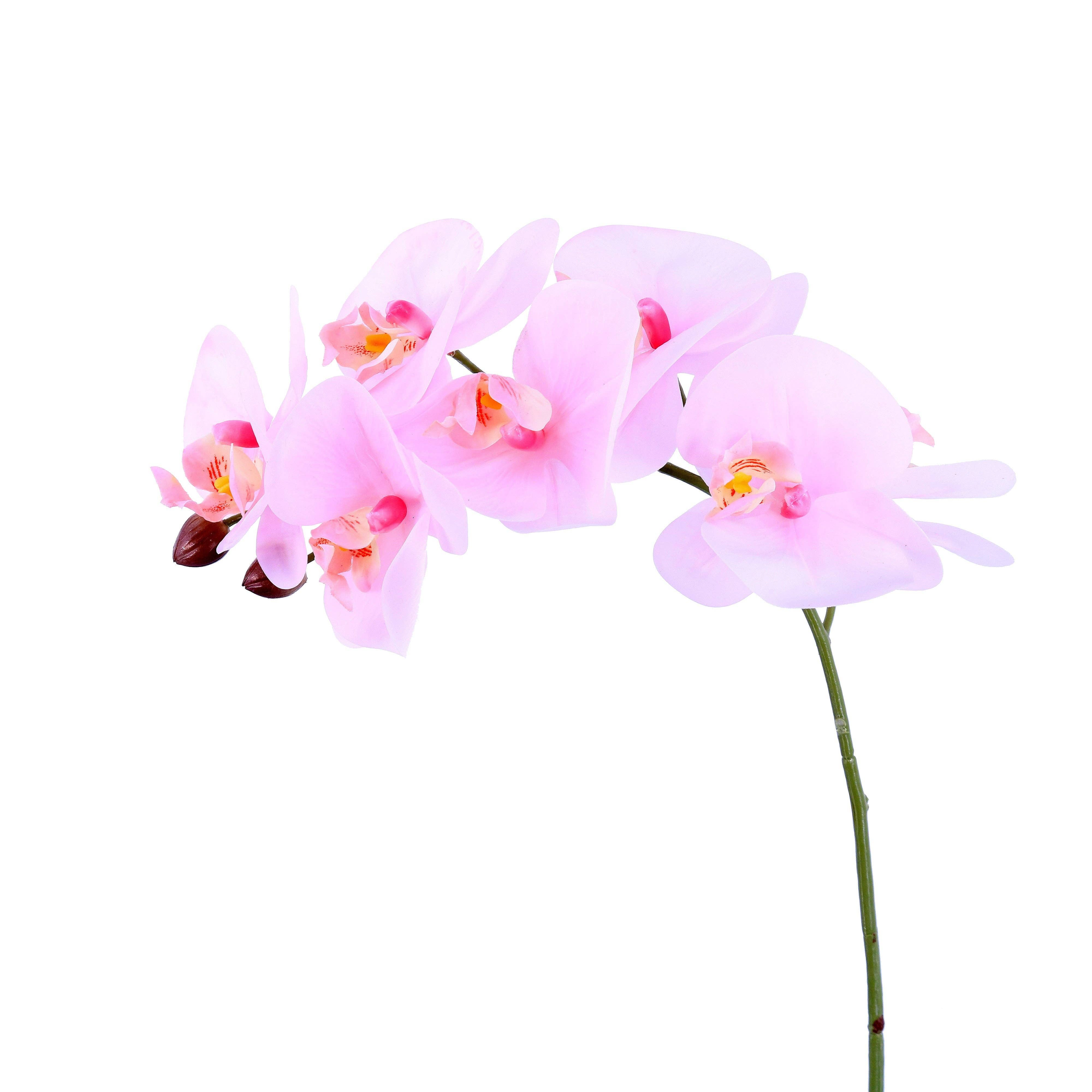 Green Import Limited – Engroshandel Kunstige blomster – FL11791 PHALAENOPSIS SPX9F (NAT. TOUCH), 46 tommer2