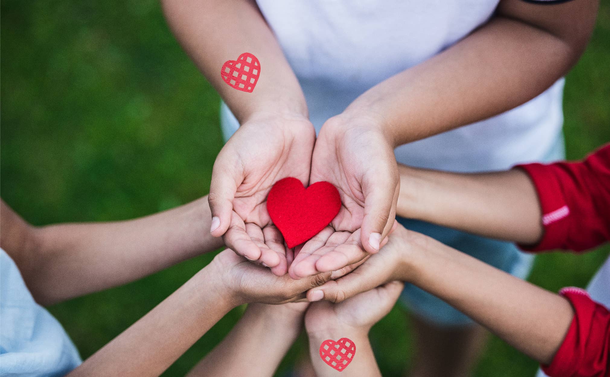 Quitch - Wholesale Itch Ointment/Cream - Buzzluv Bug Bite Relief Patches6