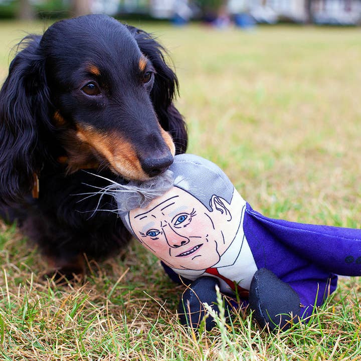 Pet Hates Toys - Wholesale Pet Plush Toy - Dog - Keir Starmer Dog Toy2