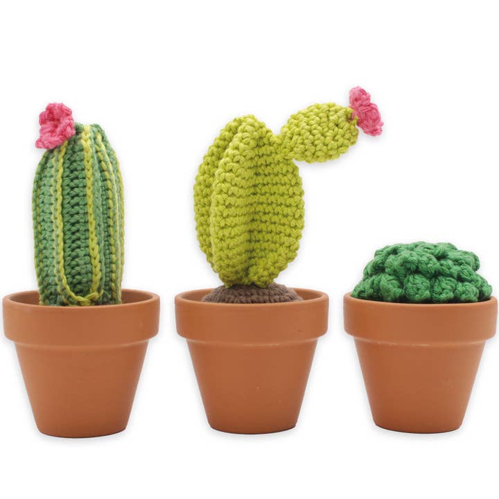 Hardicraft - Wholesale DIY Craft Kit - DIY Crochet Kit - Cacti4