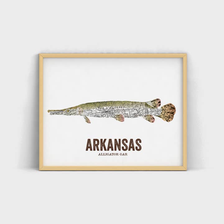 Wooden Pencil Company - Wholesale Art Print - Arkansas State Fish - Alligator Gar