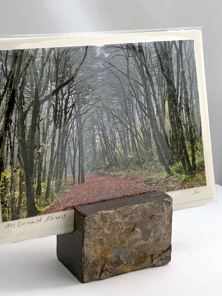 Oregon Forest - Postcard/Notecard (A7) for wholesale by Jennifer Lommers