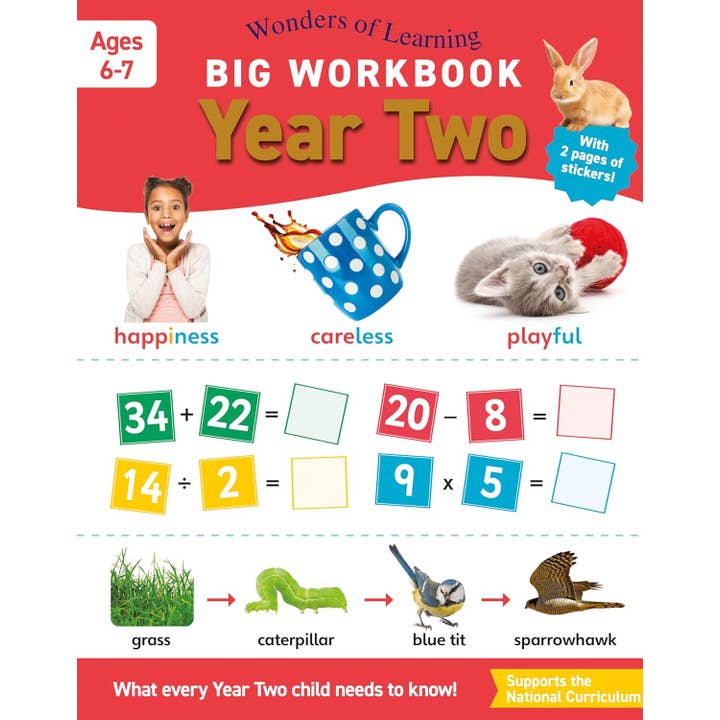 Children's Big Workbook – Year Two Ages 6 to 7 Years for wholesale by Robert Frederick Ltd
