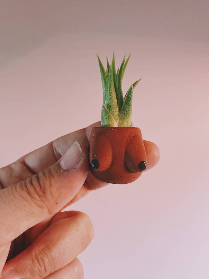Lisa Boob Pot Mini Planter and Air Plant for wholesale by O'Berry's Succulents