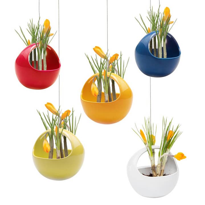 Chive - Wholesale Hanging Planter - Hanging Planter For Succulents
