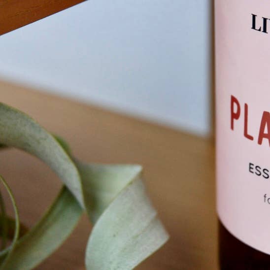 Live Well Shop – wholesale Plant mister – Plant Spray3