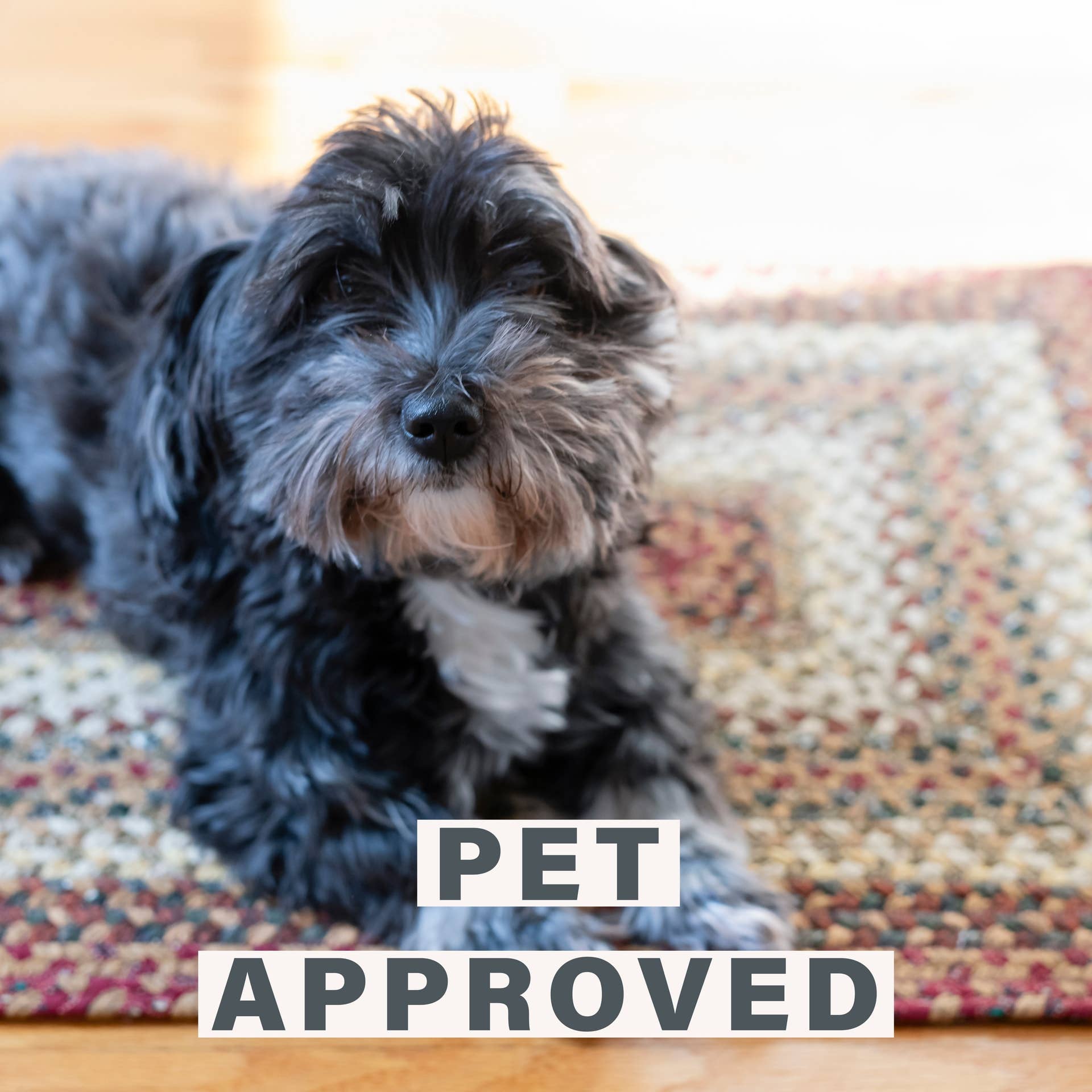 Homespice Decor - Vendita all'ingrosso Tappeto - Tappeto Intrecciato in Cotone di Lusso Torta di Zucca, Ricchi Multicolori2